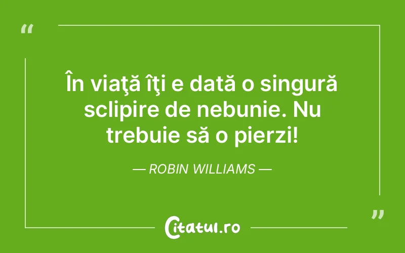 Citat Robin Williams - citate viata