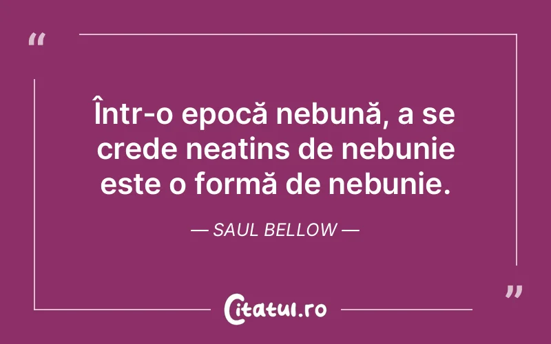 Citat Saul Bellow - citate viata