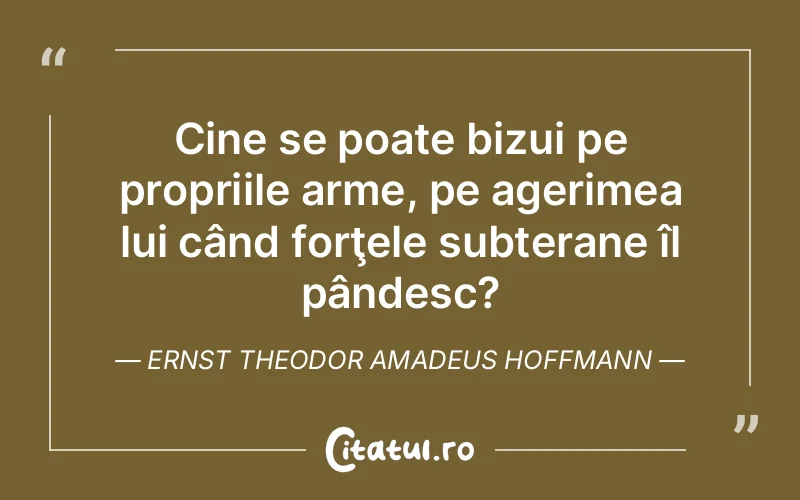 Citat Ernst Theodor Amadeus Hoffmann - citate viata