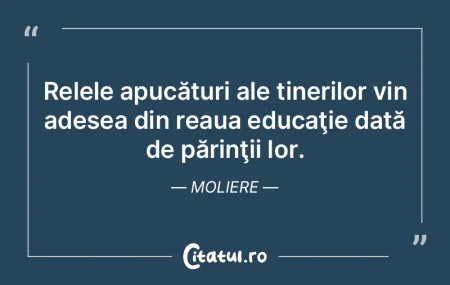 Limba este un vin pe buze. Virginia Wool... Limba este un vin pe buze. Virginia Wool...