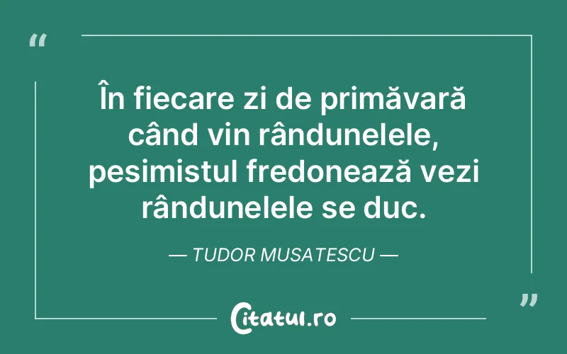 Citat Tudor Musatescu - citate viata