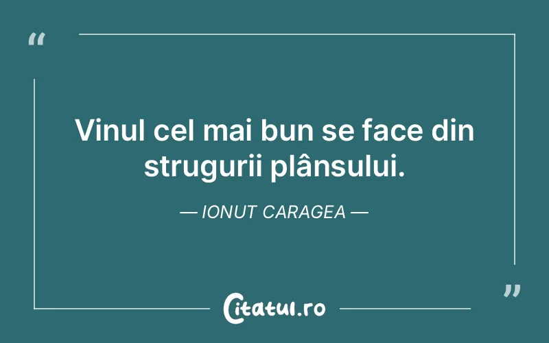 Vinul cel mai bun se face din strugurii plânsului. Ionut Caragea