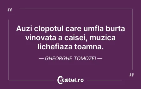 Exista doua tipuri de muzica, muzica bun... Exista doua tipuri de muzica, muzica bun...