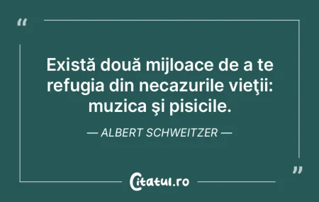 După linişte, cea care reuşeşte cel ... După linişte, cea care reuşeşte cel ...