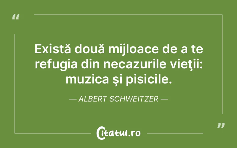 Citat Albert Schweitzer - citate viata