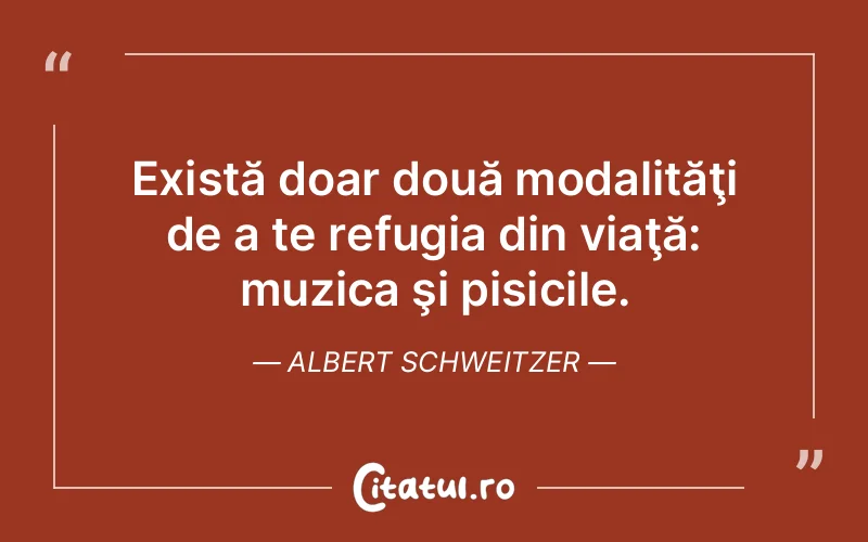 Citat Albert Schweitzer - citate viata