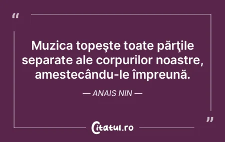 Muzica: o imensă cheltuială de precizi... Muzica: o imensă cheltuială de precizi...