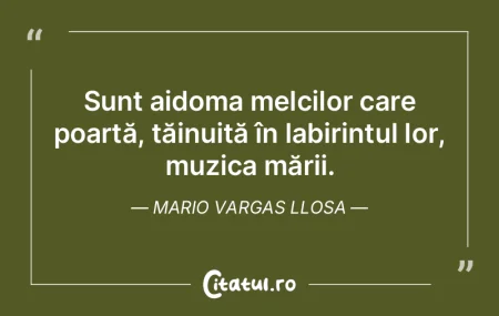 Muzica a fost refugiul meu. AÅŸ putea sÄ... Muzica a fost refugiul meu. AÅŸ putea sÄ...