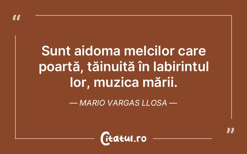 Citat Mario Vargas Llosa - citate viata