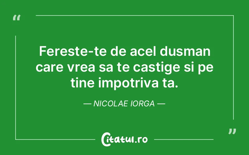 Citat Nicolae Iorga - citate viata