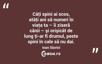 Câţi spini ai scos, atâţi ani să numeri în viaţa ta – îi ziseră cânii – şi orişicât de lung ţi-ar fi drumul, peste spini în cale să nu dai. Ioan Slavici...