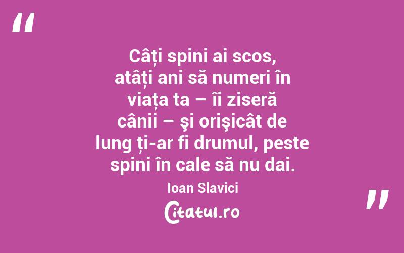 Câţi spini ai scos, atâţi ani să numeri în viaţa ta – îi ziseră cânii – şi orişicât de lung ţi-ar fi drumul, peste spini în cale să nu dai. Ioan Slavici
