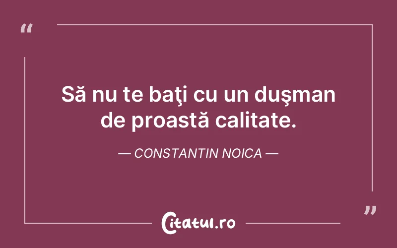 Citat Constantin Noica - citate viata