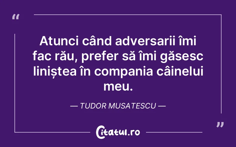 Citat Tudor Musatescu - citate viata