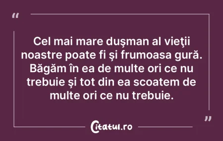 Nu-mi pot închipui lumea fără duşman...