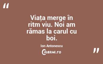 Viaţa merge în ritm viu. Noi am rămas la carul cu boi. Ion Antonescu...