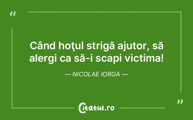 Citat Nicolae Iorga - citate viata