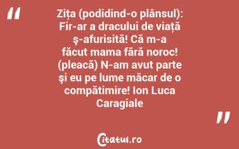 Ziţa (podidind-o plânsul): Fir-ar a dracului de viaţă ş-afurisită! Că m-a făcut mama fără noroc! (pleacă) N-am avut parte şi eu pe lume măcar de o compătimire! Ion Luca Caragiale...