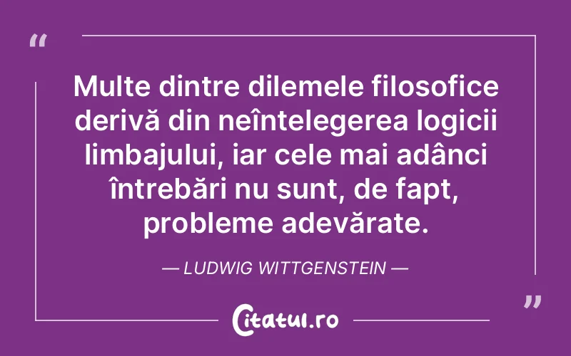 Citat Ludwig Wittgenstein - citate viata