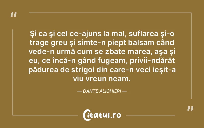 Citat Autor necunoscut - citate viata