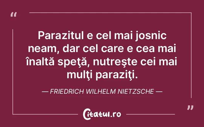 Citat Friedrich Wilhelm Nietzsche - citate viata