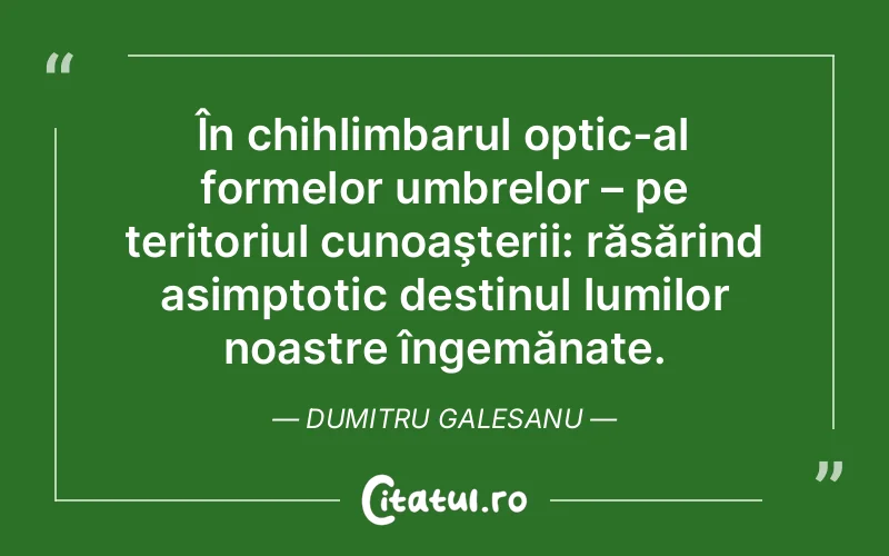 Citat Dumitru Galesanu - citate viata