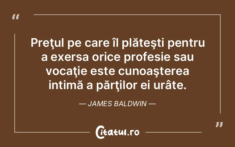 Preţul pe care îl plăteşti pentru a exersa orice profesie sau vocaţie este cunoaşterea intimă a părţilor ei urâte. James Baldwin