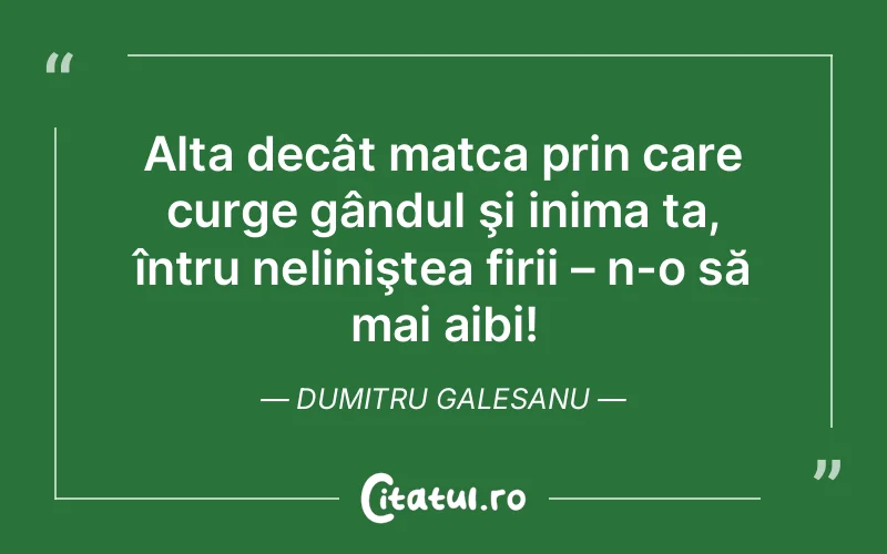 Citat Dumitru Galesanu - citate viata