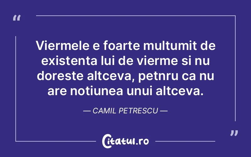 Citat Camil Petrescu - citate viata