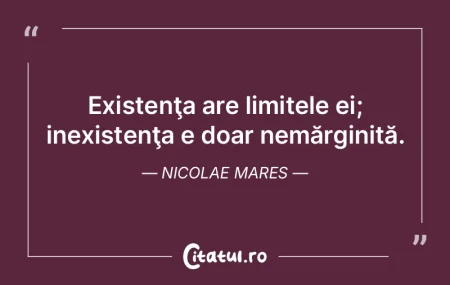 Nu veşnicia prostiei ne deranjează, ci...
