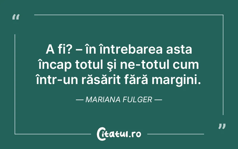 Citat Mariana Fulger - citate viata