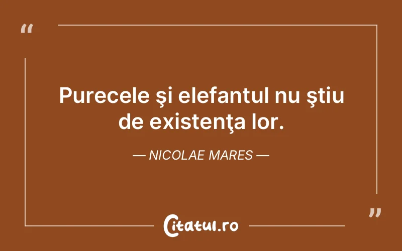 Citat Nicolae Mares - citate viata