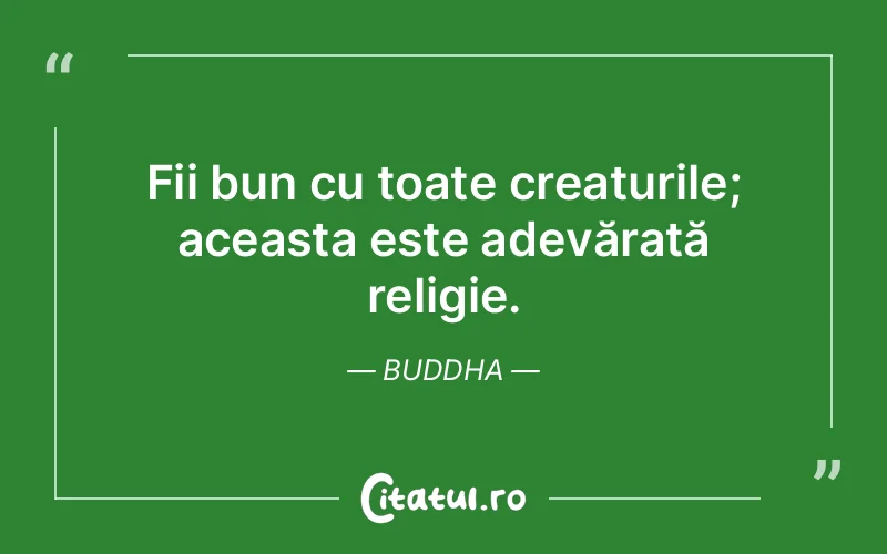 Citat Buddha - citate viata