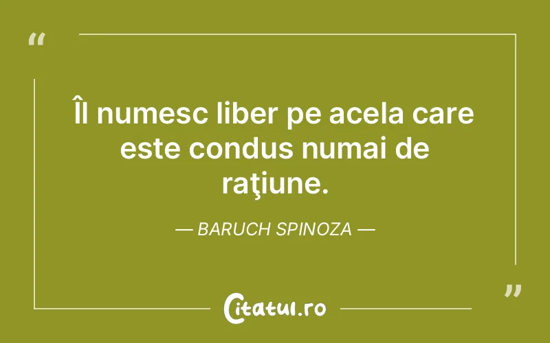 Citat Baruch Spinoza - citate viata