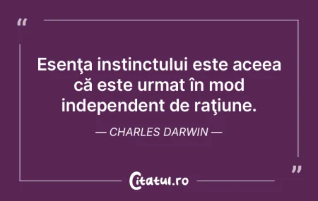 Geometria este cea mai bună şi mai sim...