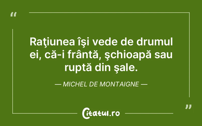 Citat Autor necunoscut - citate viata