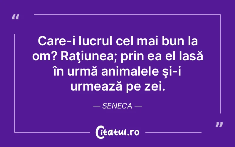Citat Seneca - citate viata