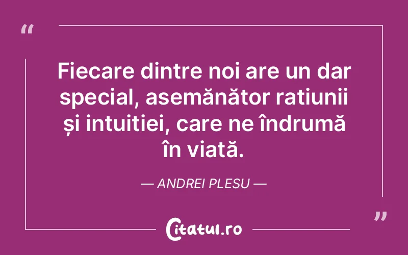 Citat Andrei Plesu - citate viata