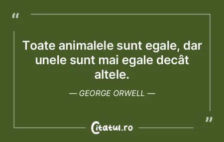 Cainii au stapan. Pisicile au personal. ... Cainii au stapan. Pisicile au personal. ...