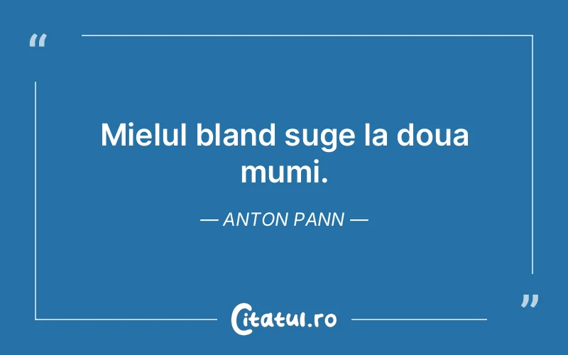 Citat Anton Pann - citate viata