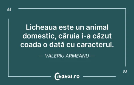 Un leu este o oaie cu doctorat. Un leu este o oaie cu doctorat.