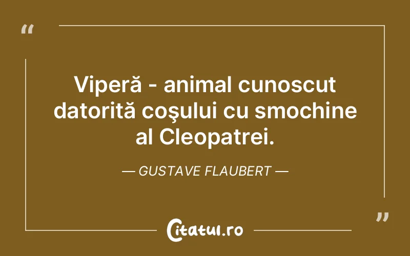 Citat Gustave Flaubert - citate viata