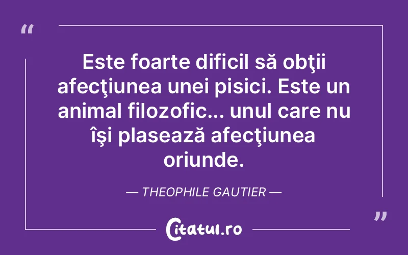 Este foarte dificil să obţii afecţiunea unei pisici. Este un animal filozofic... unul care nu îşi plasează afecţiunea oriunde. Theophile Gautier