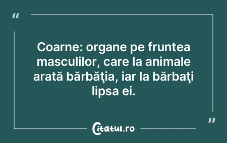 Pisica este singurul animal care acceptÄ... Pisica este singurul animal care acceptÄ...