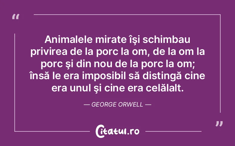 Citat George Orwell - citate viata
