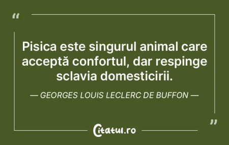 Animalele adoptate sunt cele mai bune an...