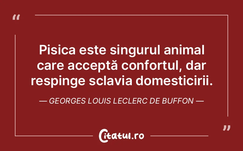 Citat Autor necunoscut - citate viata