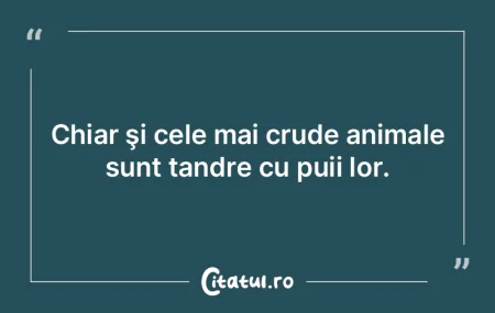 Chiar şi celor mai crude animale le pla...