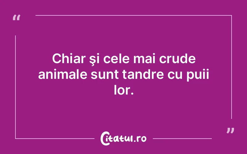 Chiar şi cele mai crude animale sunt tandre cu puii lor.