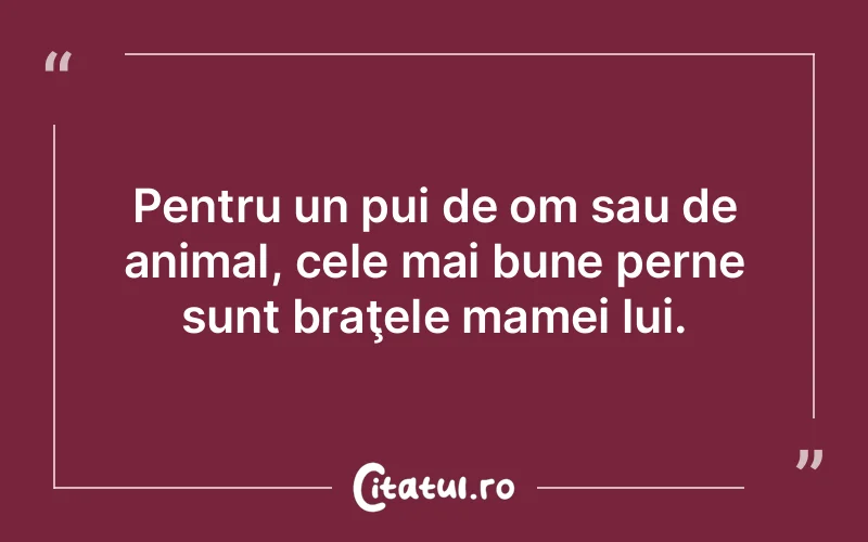 Citat Autor necunoscut - citate viata